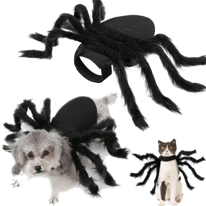 Cute Spider costume for cats and small dogs