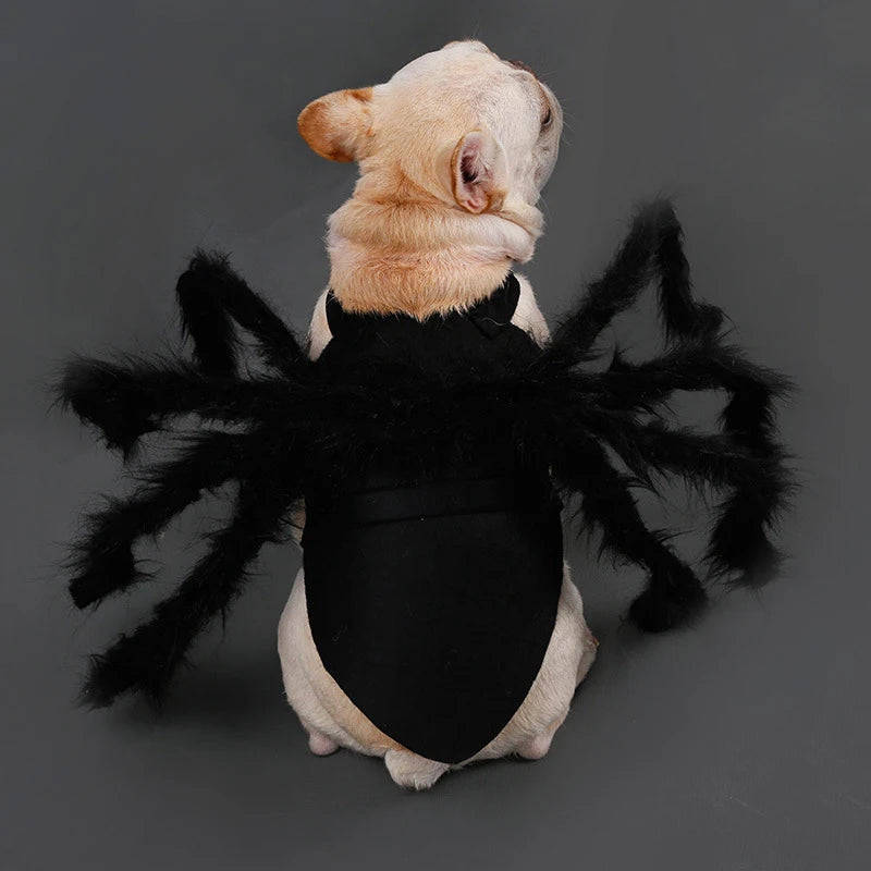 Cute Spider costume for cats and small dogs