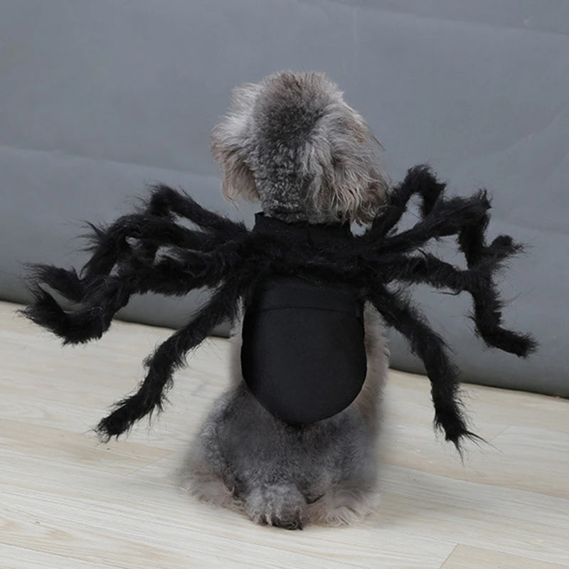 Cute Spider costume for cats and small dogs