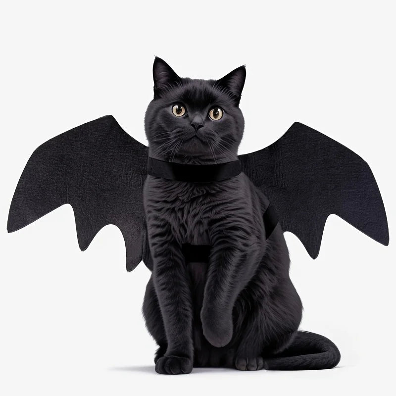 Halloween Bat Wing Costume Halloween for Cats & Small Dogs Festive Dress-Up Fun