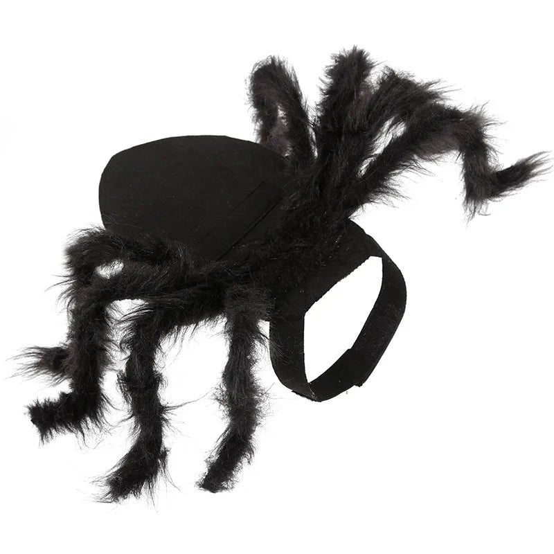 Cute Spider costume for cats and small dogs