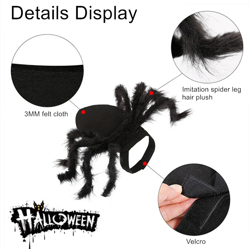 Cute Spider costume for cats and small dogs