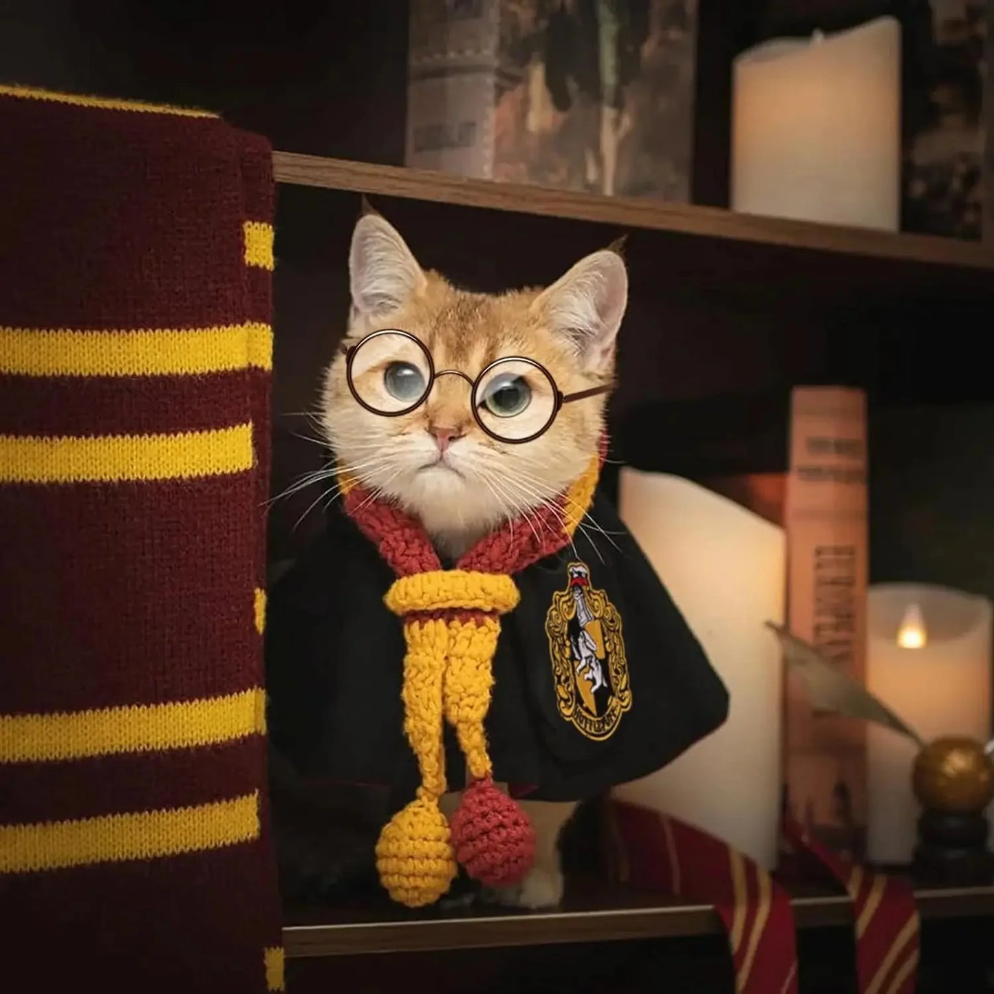 Pet Wizard Cloak – Fun Cosplay Outfit for Cats and Small Dogs