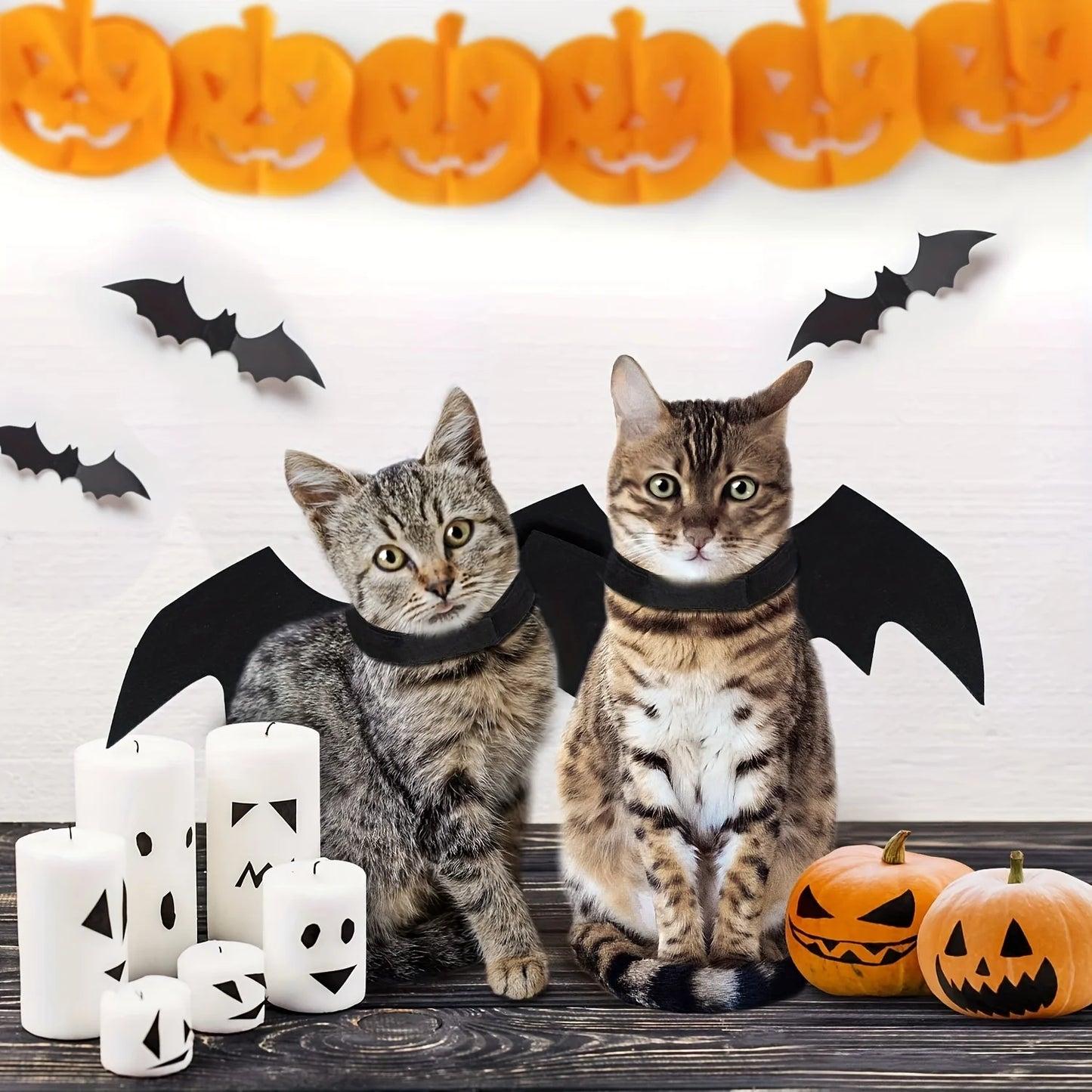 Halloween Bat Wing Costume Halloween for Cats & Small Dogs Festive Dress-Up Fun