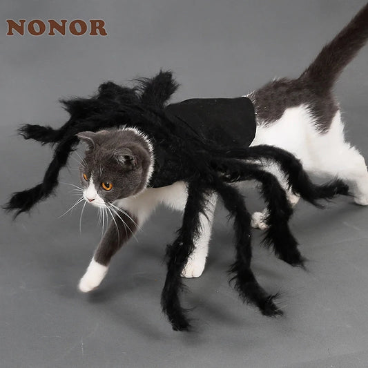 Cute Spider costume for cats and small dogs